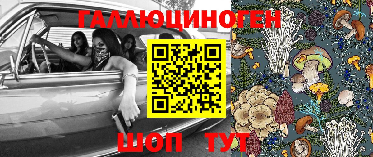 Чебоксары  Псилоцибиновые грибы Psilocybine cubensis  Вход с VPN  Псилоцибиновые грибы Psilocybe 